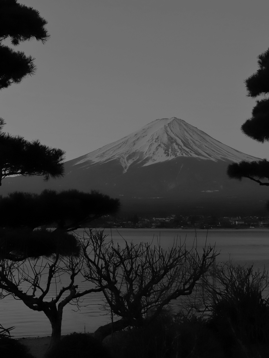 背景画像